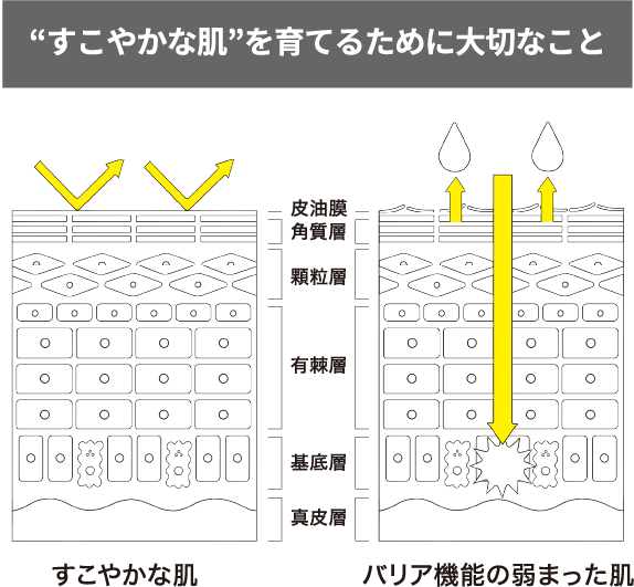 すこやかな肌を育てるために大切なこと