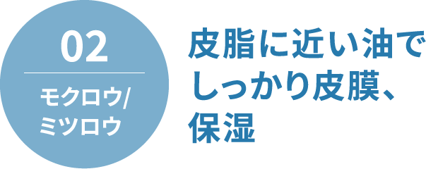 02 モクロウ / ミツロウ 皮脂に近い油でしっかり皮膜、保湿